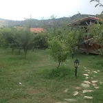 Affittacamere Salkim Konak Ve Agac Evler Selçuk