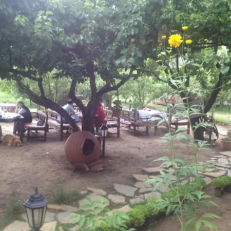 Pensjonat Salkim Konak Ve Agac Evler Selçuk