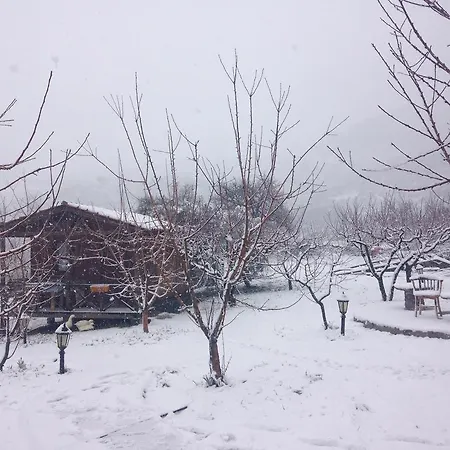Salkim Konak Ve Agac Evler *