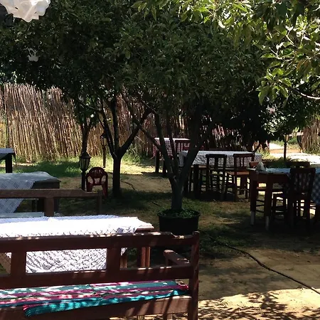 Salkim Konak Ve Agac Evler Pensjonat Selçuk