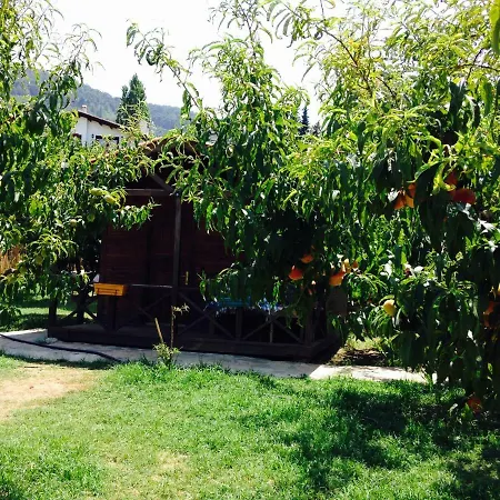 Salkim Konak Ve Agac Evler *