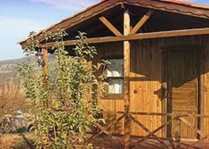 招待所 Salkim Konak Ve Agac Evler 塞尔丘克