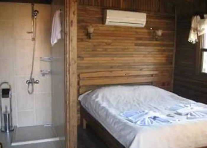 Salkim Konak Ve Agac Evler 塞尔丘克