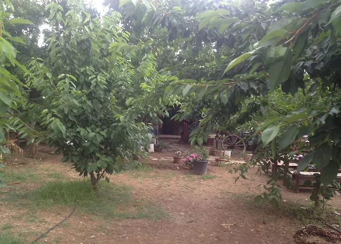 Salkim Konak Ve Agac Evler Selcuk