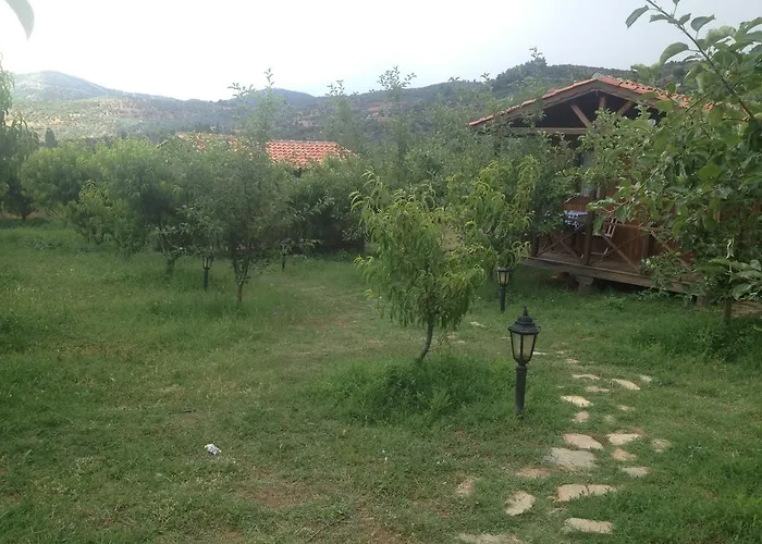 Penzion Salkim Konak Ve Agac Evler Selcuk