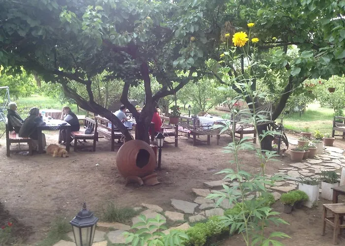 Penzion Salkim Konak Ve Agac Evler Selcuk