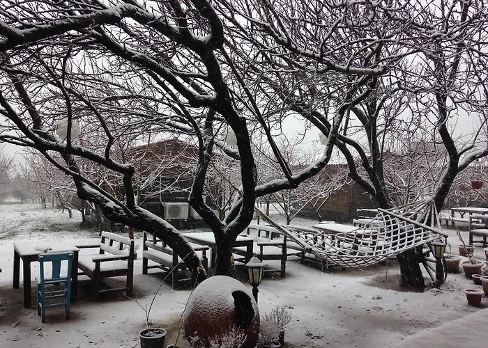 Salkim Konak Ve Agac Evler * 塞尔丘克