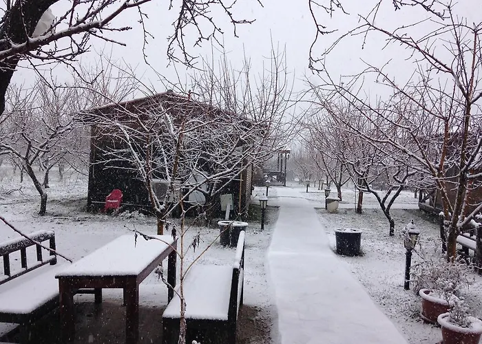 Salkim Konak Ve Agac Evler Penzion Selcuk