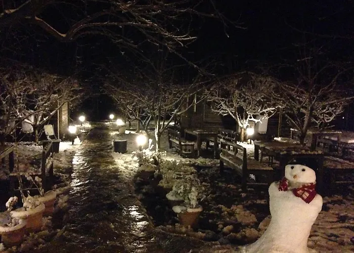 Salkim Konak Ve Agac Evler