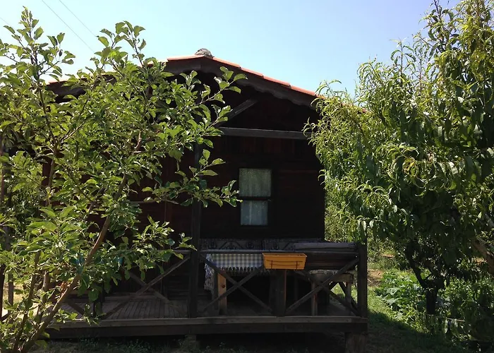 Penzion Salkim Konak Ve Agac Evler Selcuk