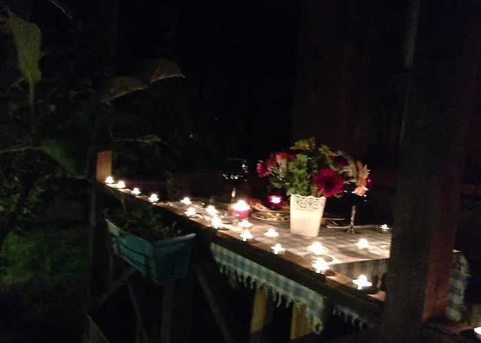 Salkim Konak Ve Agac Evler 招待所 塞尔丘克