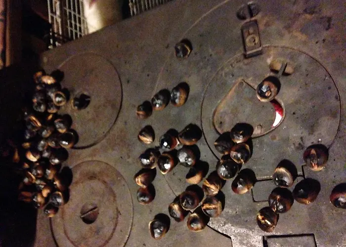 Salkim Konak Ve Agac Evler 塞尔丘克