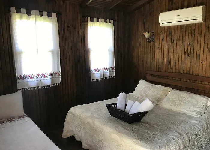 Salkim Konak Ve Agac Evler