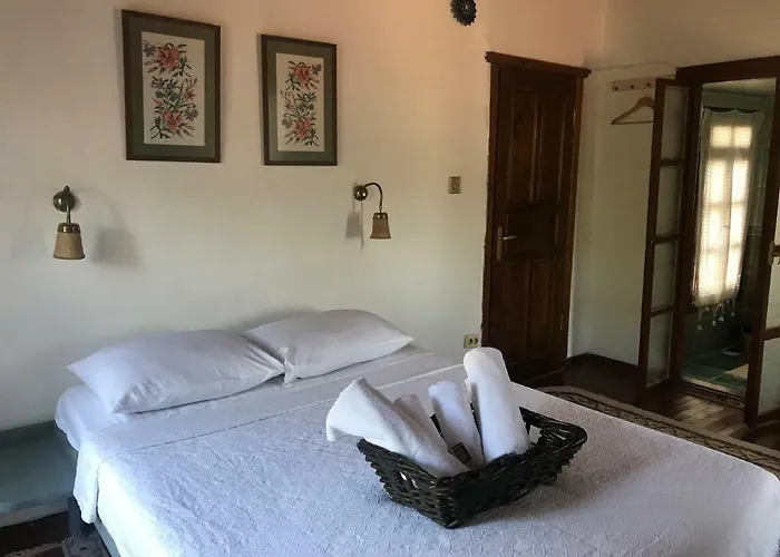 Salkim Konak Ve Agac Evler Penzion