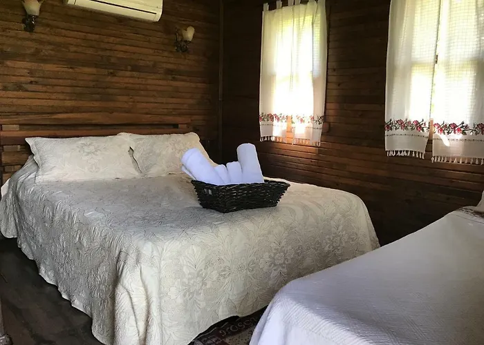 Salkim Konak Ve Agac Evler Selcuk