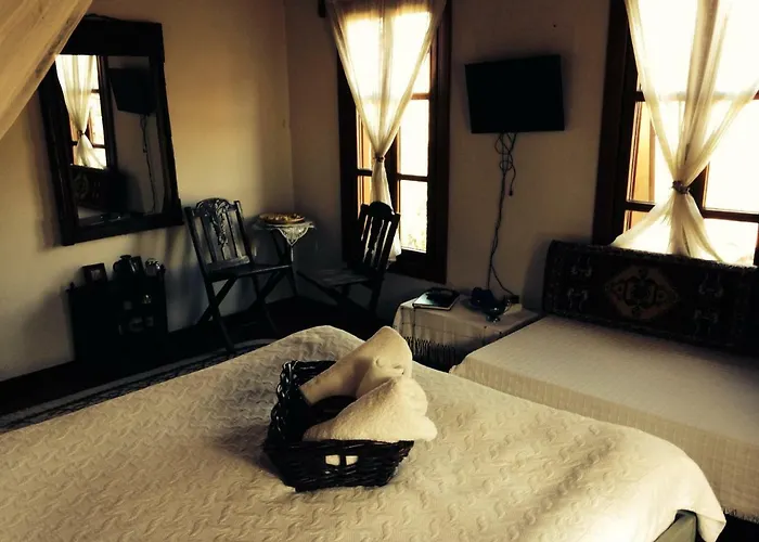 Salkim Konak Ve Agac Evler Penzion