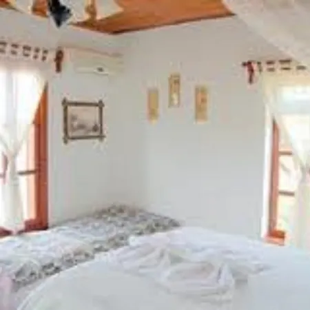 Pensiune Salkim Konak Ve Agac Evler