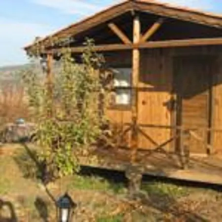 Salkim Konak Ve Agac Evler