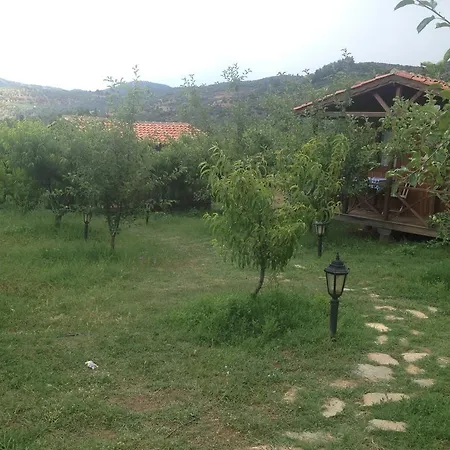 Pensiune Salkim Konak Ve Agac Evler Selçuk