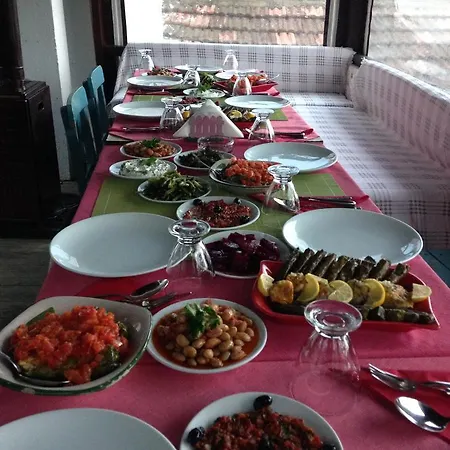 Salkim Konak Ve Agac Evler Pensiune *