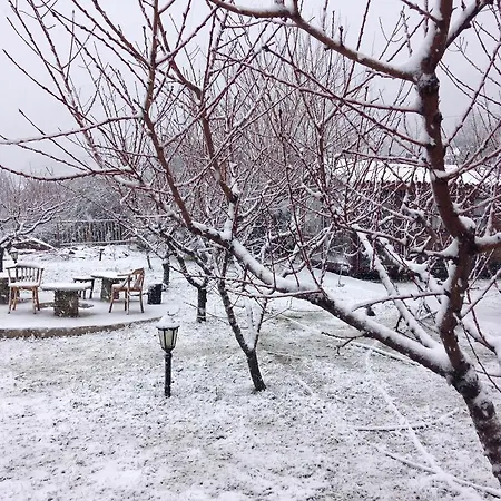 Salkim Konak Ve Agac Evler سلجوك