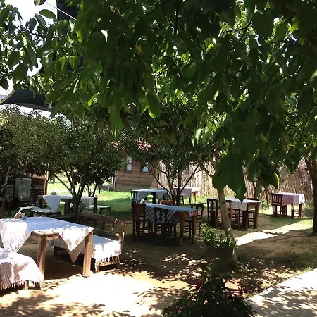 Salkim Konak Ve Agac Evler بيت ضيافة