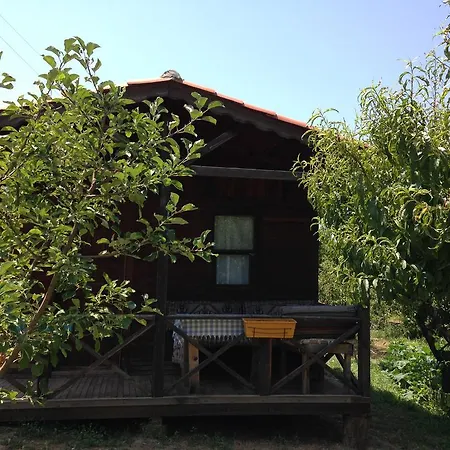 Pensiune Salkim Konak Ve Agac Evler Selçuk