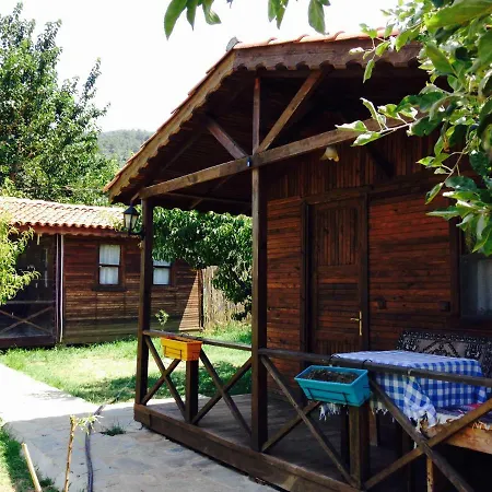 Salkim Konak Ve Agac Evler