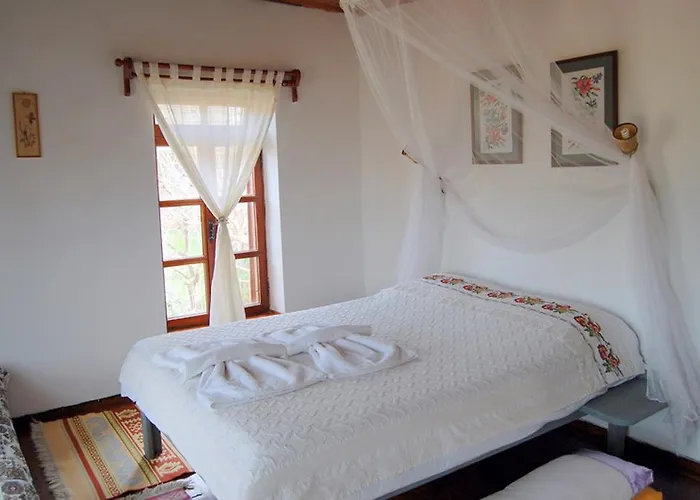 Salkim Konak Ve Agac Evler