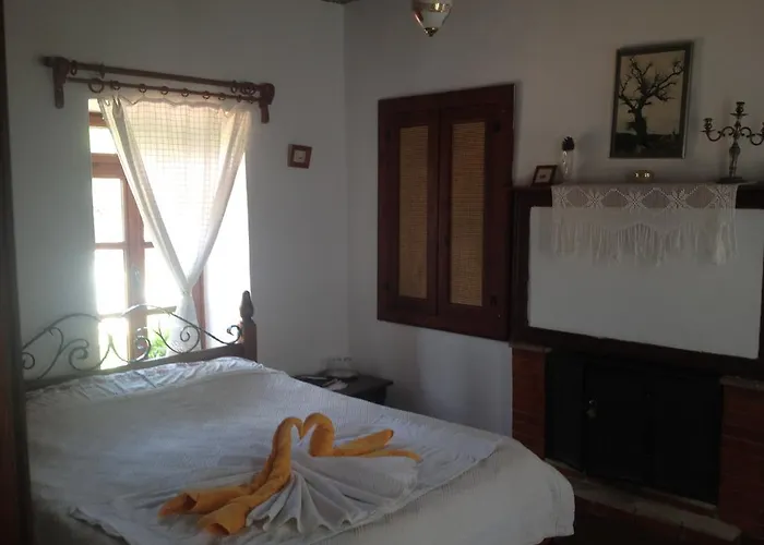 Salkim Konak Ve Agac Evler Сельчук