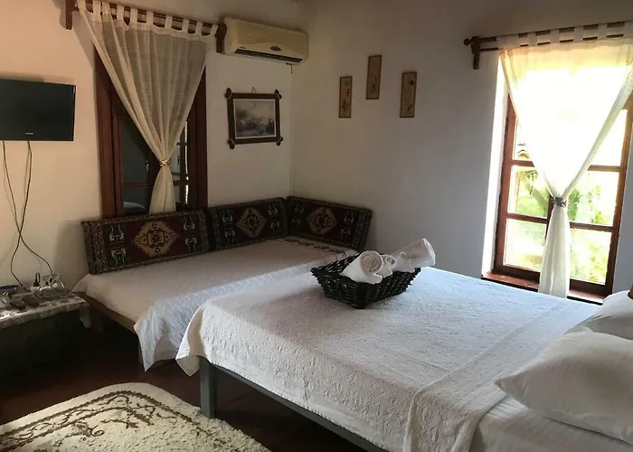 Salkim Konak Ve Agac Evler Сельчук