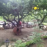 招待所 Salkim Konak Ve Agac Evler 塞尔丘克