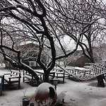 Salkim Konak Ve Agac Evler * 塞尔丘克