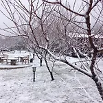Salkim Konak Ve Agac Evler 塞尔丘克