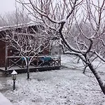 Salkim Konak Ve Agac Evler 招待所