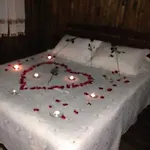 招待所 Salkim Konak Ve Agac Evler *