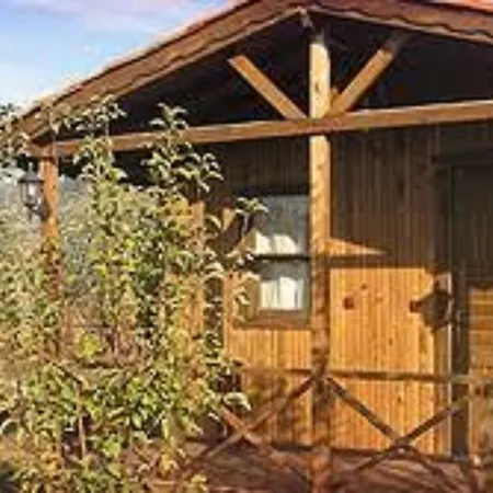 Gasthof Salkim Konak Ve Agac Evler Selçuk
