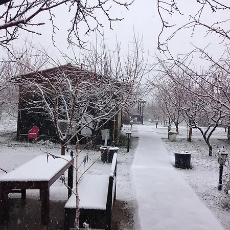 Salkim Konak Ve Agac Evler Gasthof Selçuk