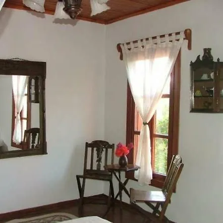 Salkim Konak Ve Agac Evler Gasthof Selçuk