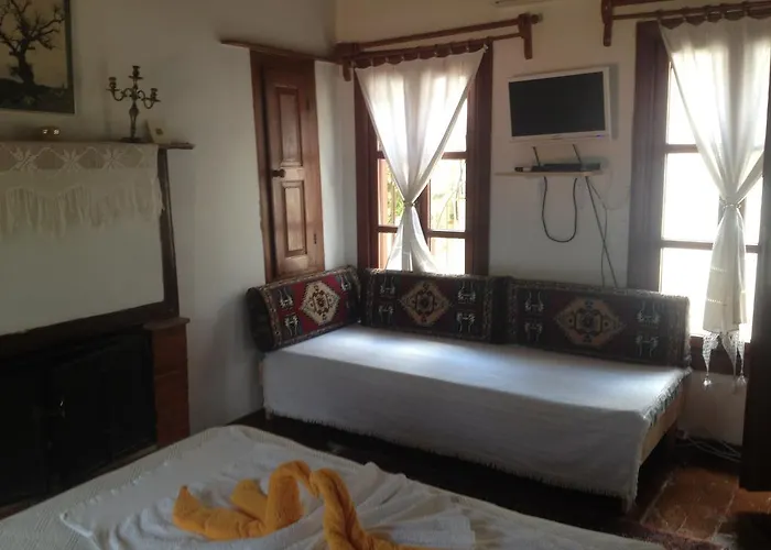 Salkim Konak Ve Agac Evler سلجوك