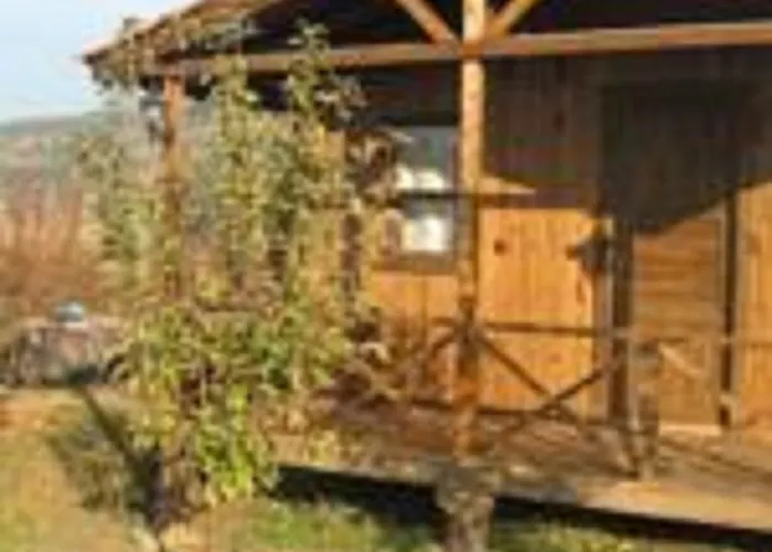 Salkim Konak Ve Agac Evler