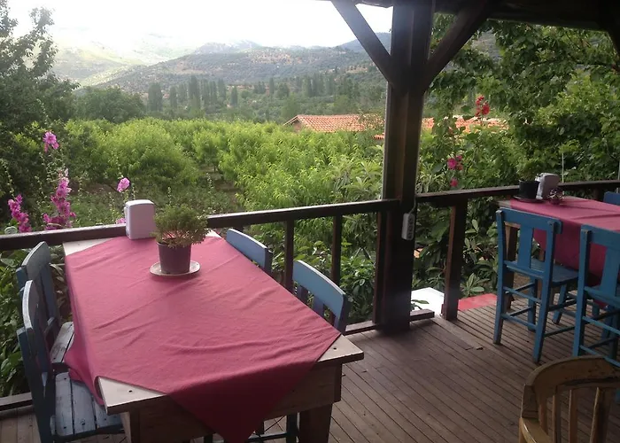 Salkim Konak Ve Agac Evler *