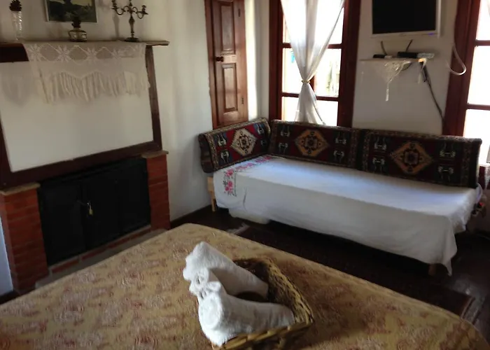 Salkim Konak Ve Agac Evler