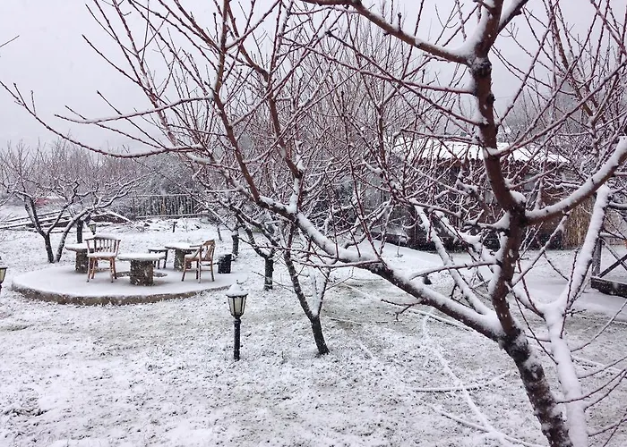 Salkim Konak Ve Agac Evler سلجوك