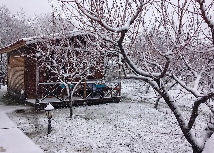 Salkim Konak Ve Agac Evler بيت ضيافة