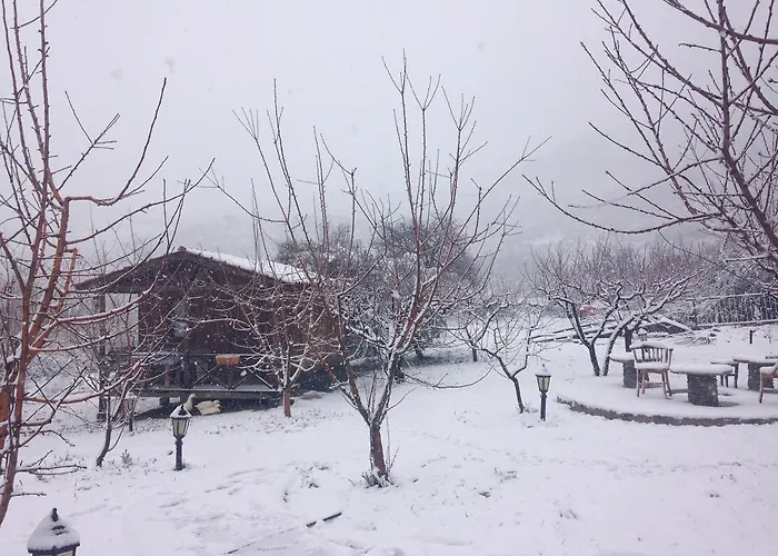 Salkim Konak Ve Agac Evler *