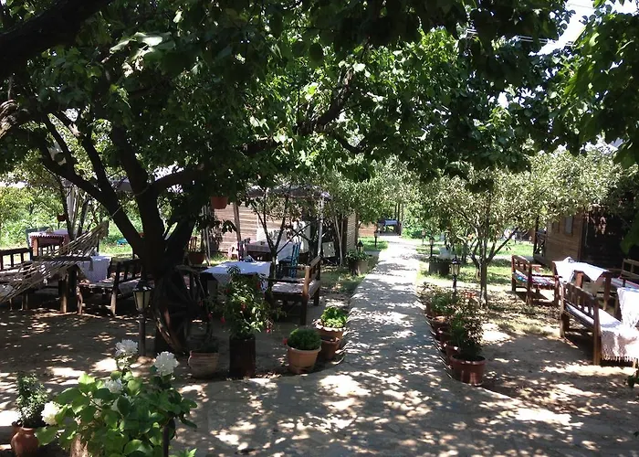 Salkim Konak Ve Agac Evler سلجوك