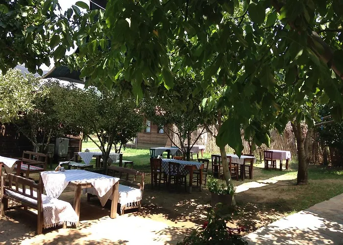 Salkim Konak Ve Agac Evler بيت ضيافة