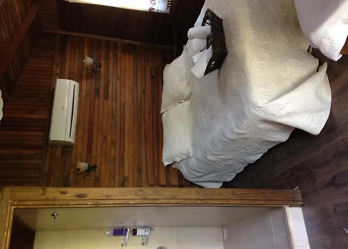 Salkim Konak Ve Agac Evler * سلجوك