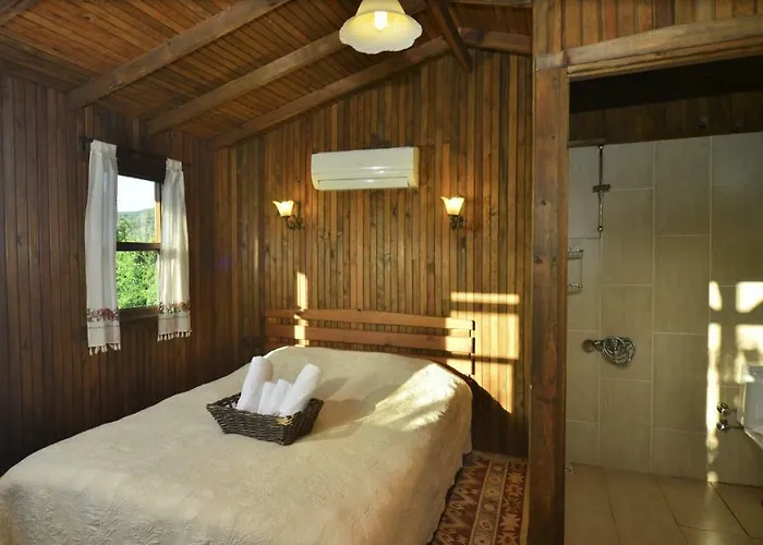 Salkim Konak Ve Agac Evler * سلجوك